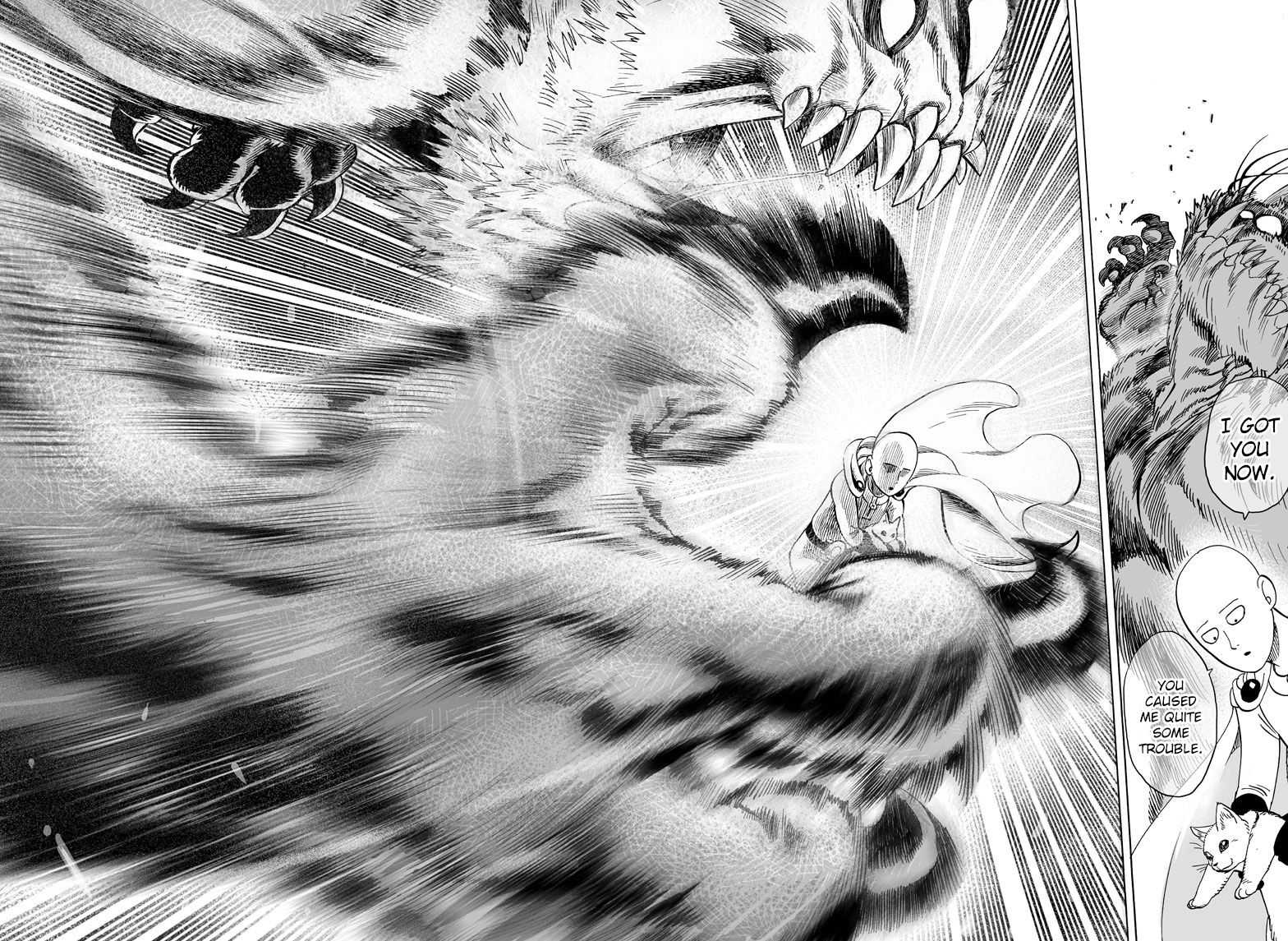One Punch Man - Chapter 42.5 image 28